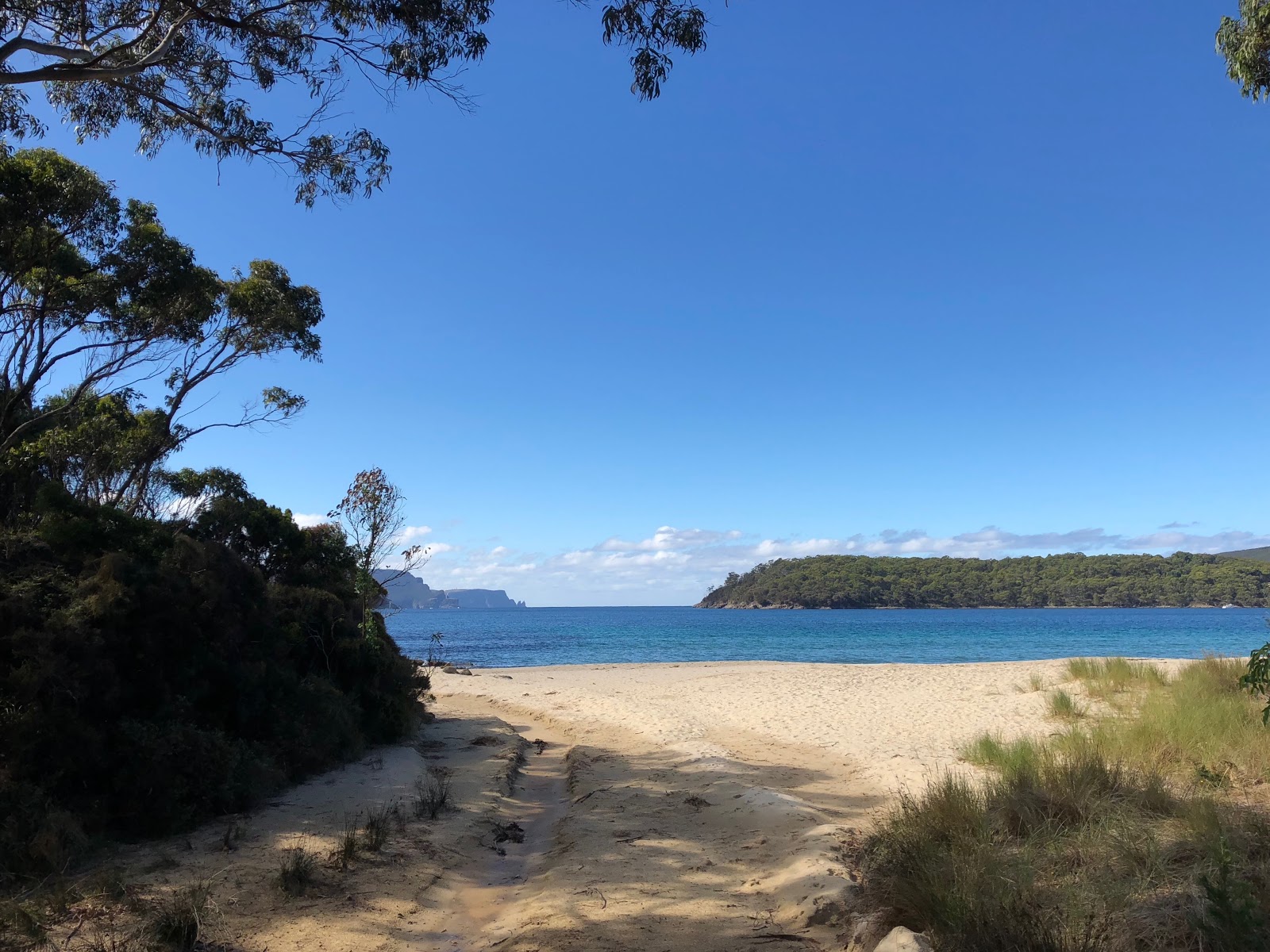 Safety Cove Beach'in fotoğrafı - rahatlamayı sevenler arasında popüler bir yer