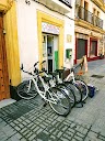 Taller de Bicis En Medio de Arcos (JEREZ) en Jerez de la Frontera