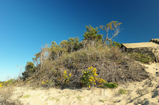 Recreation Center «Sandy Hook - Gateway National Recreation Area», reviews and photos, 128 S Hartshorne Dr, Highlands, NJ 07732, USA