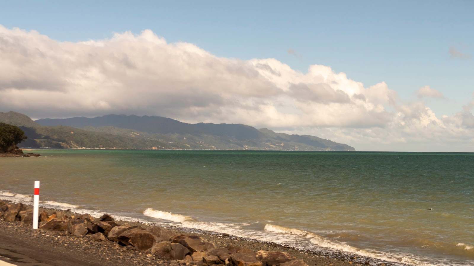 Zdjęcie Wilsons Bay z przestronna linia brzegowa