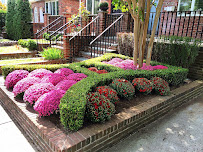 Anthony Gallo Landscaping & Nursery - Photo 4 - Car repair in Brooklyn, NY, New York