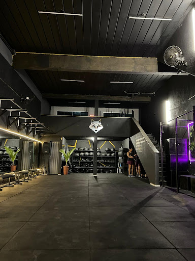 Logo da empresa - Clark Fit Training