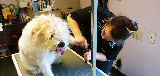 Dog Trainer «Mad 4 My Dog», reviews and photos, 702 E Temperance St, Ellettsville, IN 47429, USA