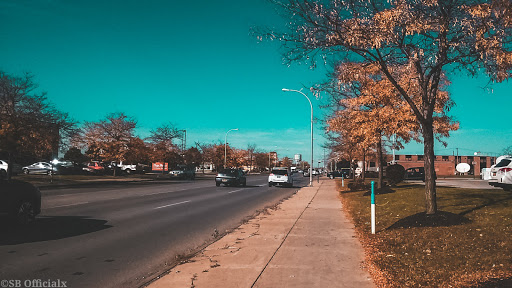 Movie Theater «Regal Cinemas Elmwood Center 16», reviews and photos, 2001 Elmwood Ave, Buffalo, NY 14207, USA