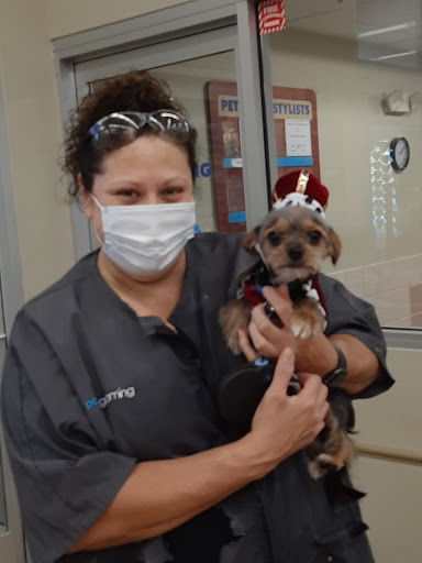 Pet Supply Store «Petco Animal Supplies», reviews and photos, 1429 W Pacheco Blvd, Los Banos, CA 93635, USA