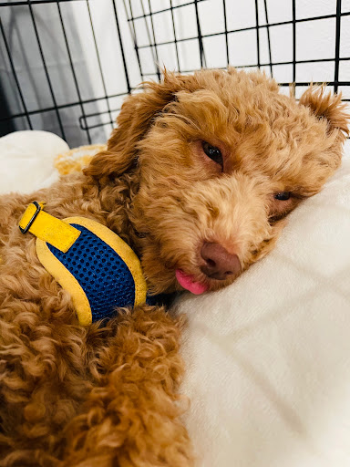 3997 Emery St, Emeryville, CA 94608, USA