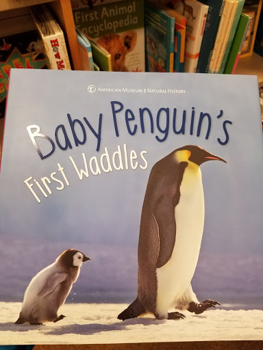 Book Store «Barnes & Noble», reviews and photos, 801 Lehigh Lifestyle Center, Whitehall, PA 18052, USA