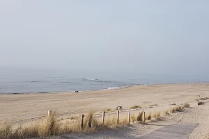 SV Petten image