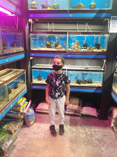 Tropical Fish Store «Waterbury Aquarium», reviews and photos, 406 Watertown Ave, Waterbury, CT 06708, USA