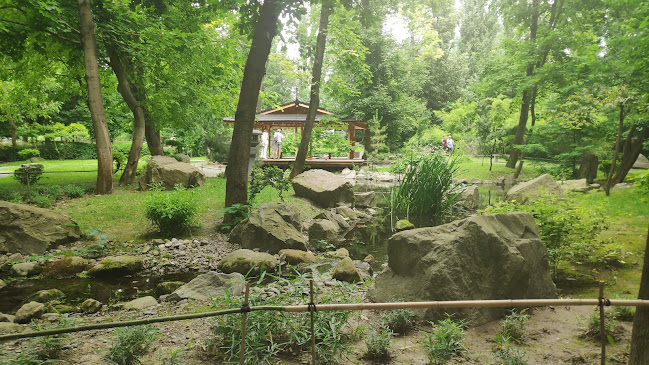 Értékelések erről a helyről: Japán Kert, Szentendre - Parkoló