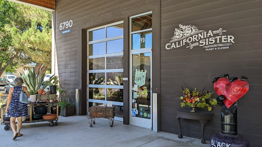 California Sister Floral Design & Supply, 6790 McKinley St #190, Sebastopol, CA 95472, USA, 