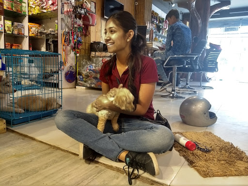 Dog stores Jaipur