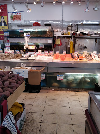 Grocery Store «Ace Market», reviews and photos, 6511 Bay Pkwy, Brooklyn, NY 11204, USA