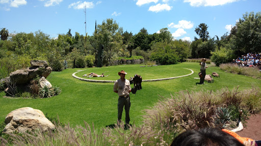 Parques para ir con perros en Puebla