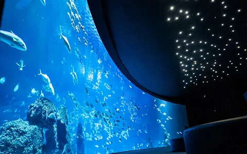 Poema del Mar Aquarium image