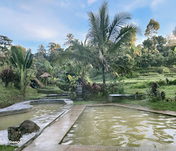 Pemandian Air Panas/Natural hot Spring Piling Kawan photo