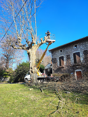 Mazards Élagage à Colayrac-Saint-Cirq