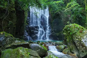 Kuwanokino Falls image