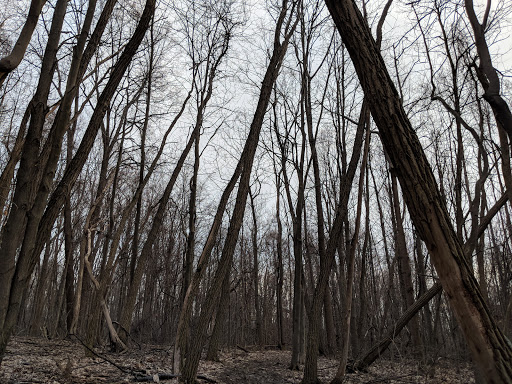 Nature Preserve «Princess Ledges Nature Preserve», reviews and photos, 4361 Spruce Ave, Brunswick, OH 44212, USA