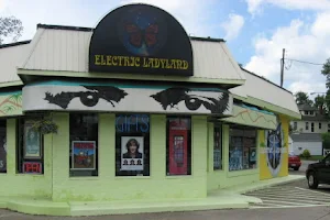 Electric Ladyland image