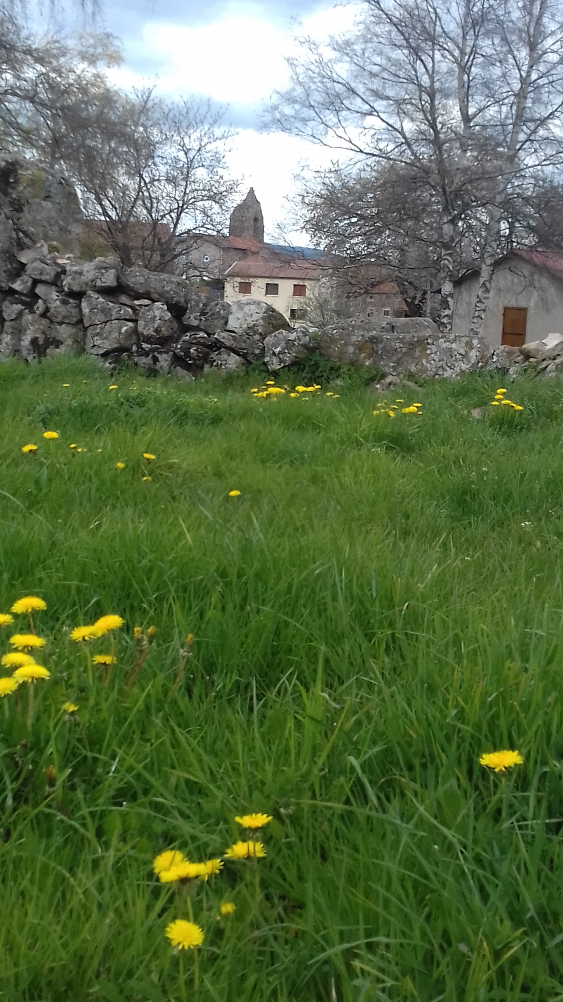 Photo n° 7 de l'avis de DAVID.A fait le 27/04/2023 à 19:36
