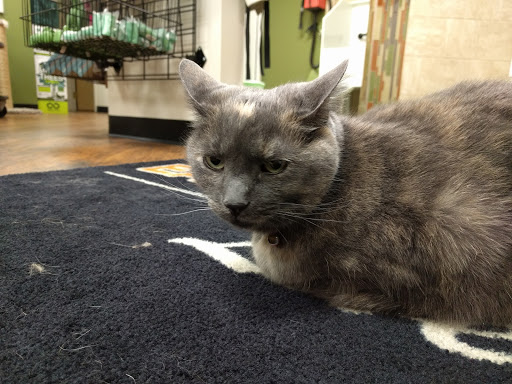 Pet Supply Store «EarthWise Pet Supply», reviews and photos, 7316 Yankee Rd, Liberty Township, OH 45044, USA