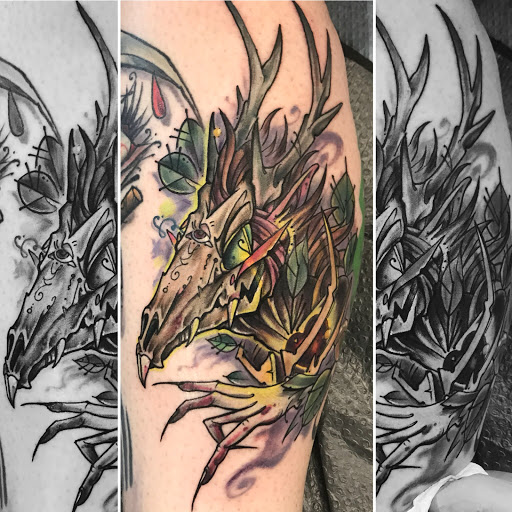 Explore dragon back tattoo ideas, creative tattoo ideas in Augusta, available at Mr. Tattoo