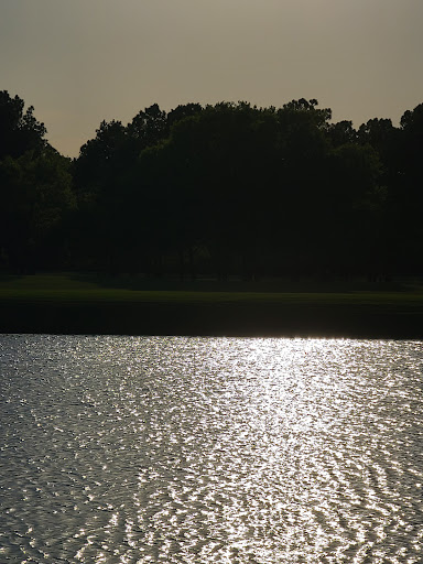 Public Golf Course «Memorial Park Golf Course», reviews and photos, 1001 E Memorial Loop, Houston, TX 77007, USA