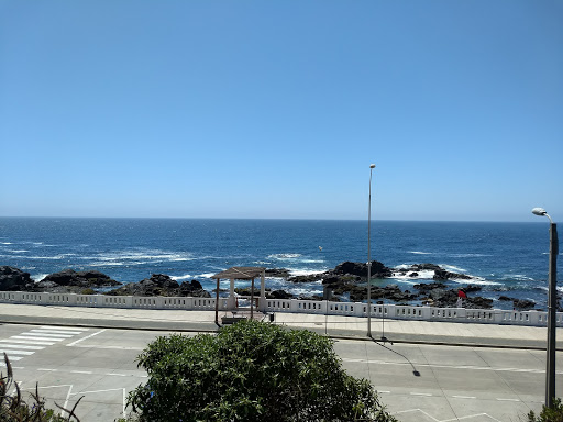 Facultad de Ciencias Naturales y Exactas y Facultad de Ingeniería, de la Universidad de Playa Ancha