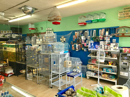 Pet Supply Store «Neighborhood Pet Shop», reviews and photos, 574 Hialeah Dr, Hialeah, FL 33010, USA