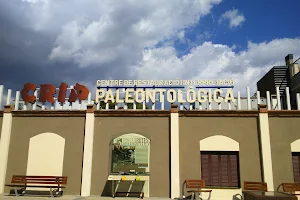 Centre de Restauració i Interpretació Paleontològica (CRIP) image
