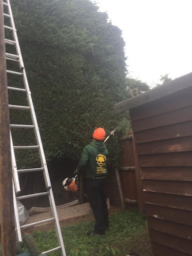 Comments and reviews of JW Treecare & Power Washing