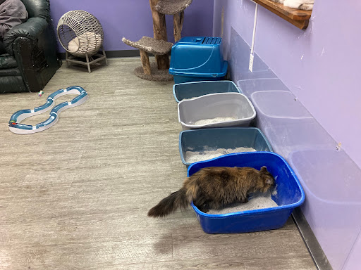 Pet Supply Store «Animal House Pet Supplies», reviews and photos, 733 Phillips Blvd, Sauk City, WI 53583, USA