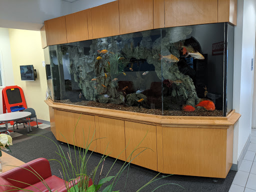 Nissan Dealer «Eden Prairie Nissan», reviews and photos, 12790 Plaza Dr, Eden Prairie, MN 55344, USA