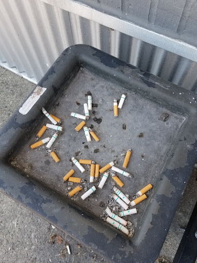 Explore tattoo chest ideas, creative tattoo ideas in Center Line, available at Elite Ink Tattoo Studios