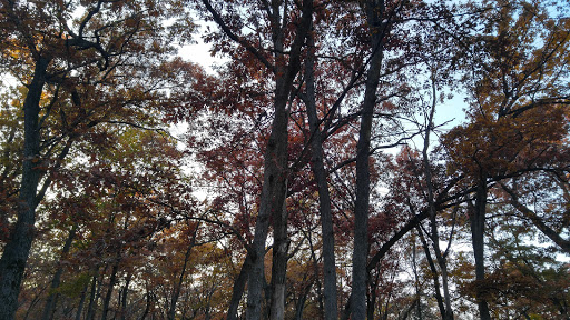 Public Golf Course «Apple Valley Golf Course», reviews and photos, 8661 140th St W, Apple Valley, MN 55124, USA