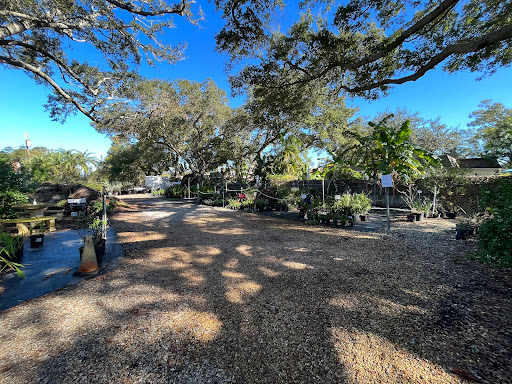 Plant Nursery «Wilcox Nursery», reviews and photos, 12501 Indian Rocks Rd, Largo, FL 33774, USA