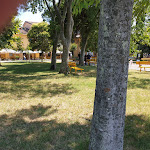 Photo n°2 de l'avis de karin. fait le 24/08/2019 à 15:48 sur le  Ristorante al Pellegrino à Santuario di Barbana