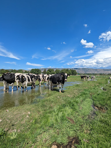 Dairy Store «Heber Valley Milk & Artisan Cheese», reviews and photos, 920 River Rd, Midway, UT 84049, USA