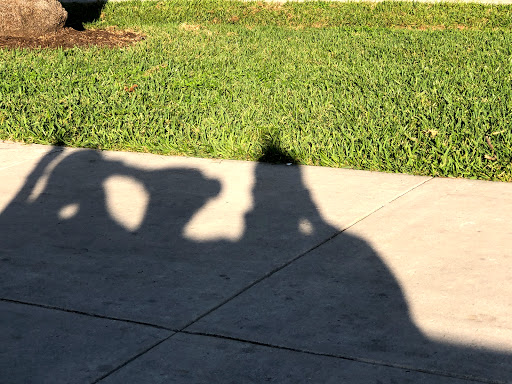 Park «Flamingo Park», reviews and photos, 1200 Meridian Ave, Miami Beach, FL 33139, USA