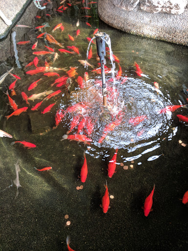 Car Wash «Pacific Car Wash Corporation», reviews and photos, 41080 Trimboli Way, Fremont, CA 94538, USA