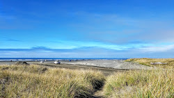 Foto von Ocean Shores Beach mit lange, gerade küste