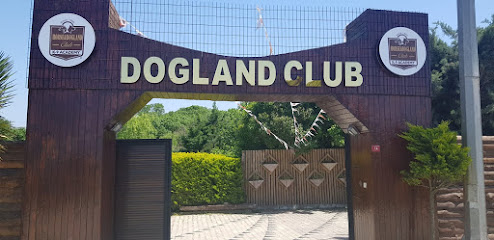 Dogland Club Köpek Eğitim ve Veterinerlik