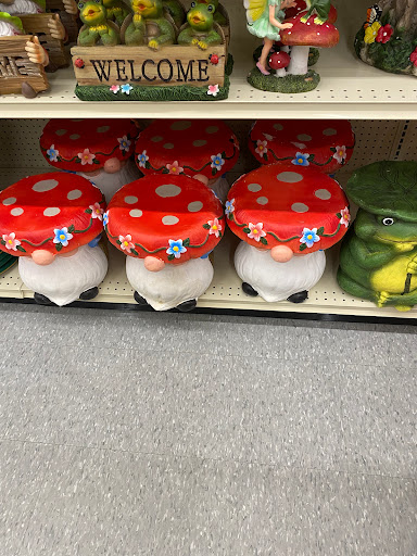 Discount Store «Big Lots», reviews and photos, 2081 US-23, Delaware, OH 43015, USA