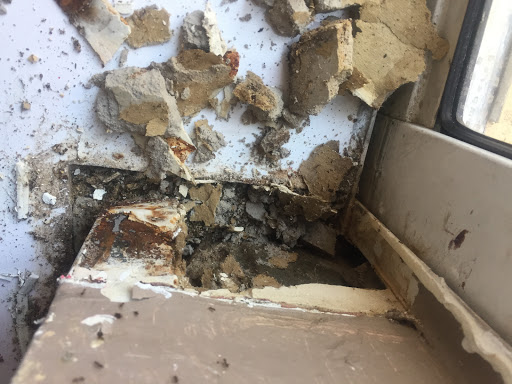 Home Inspector «Stellar Public Adjusting Services», reviews and photos