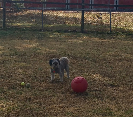 Bayside Pet Emporium image