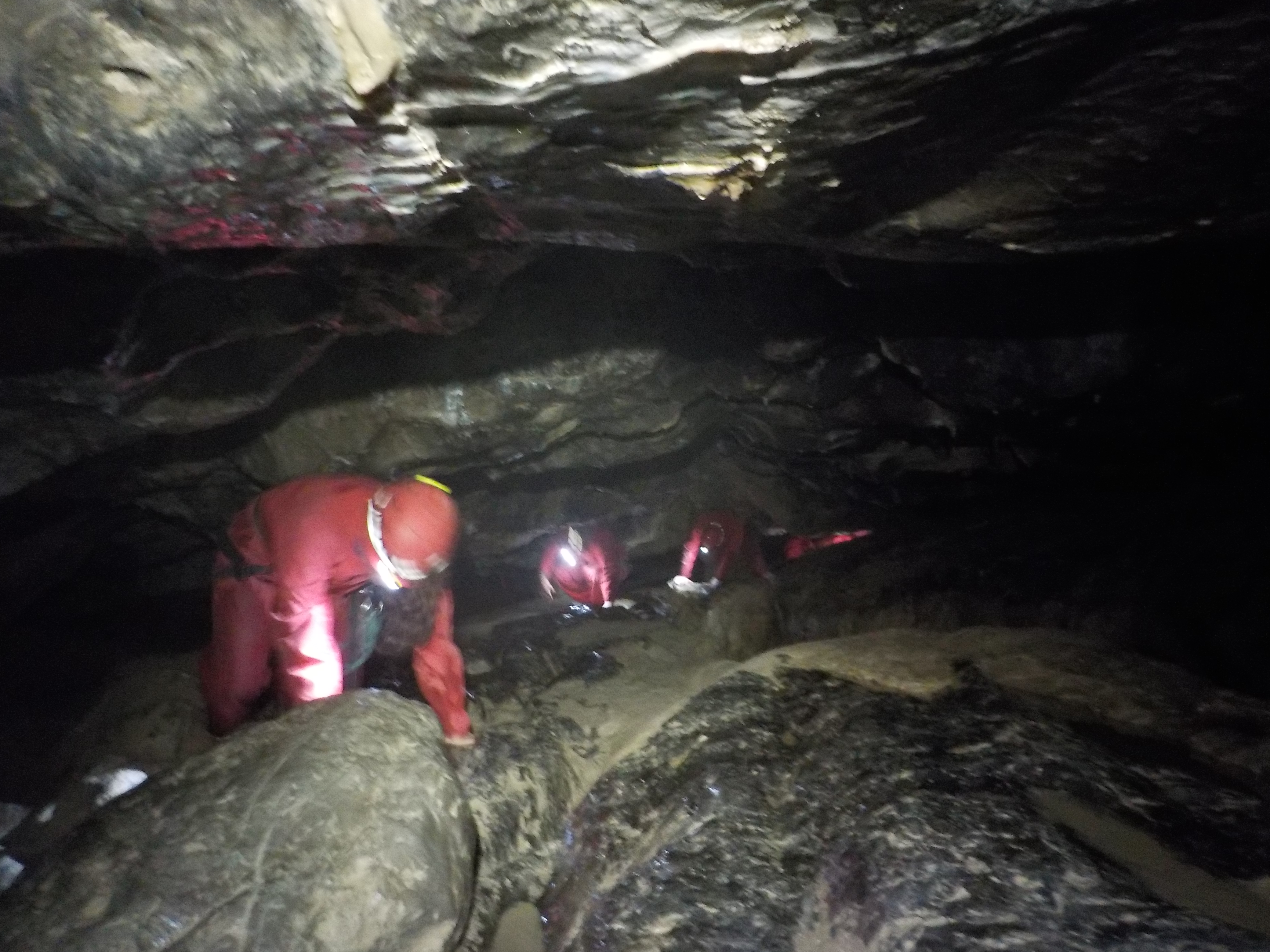 Photo n° 1 de l'avis de Zibro.a fait le 21/05/2019 à 13:07