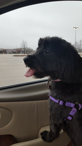 Pet Supply Store «Petco Animal Supplies», reviews and photos, 1660 Orchard Gateway Blvd, North Aurora, IL 60542, USA