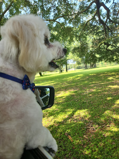 Happy Tails Grooming & Boarding