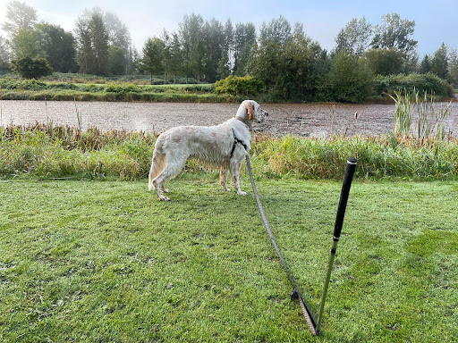 Golf Course «Twin Rivers Golf Course», reviews and photos, 4446 Preston-Fall City Rd SE, Fall City, WA 98024, USA